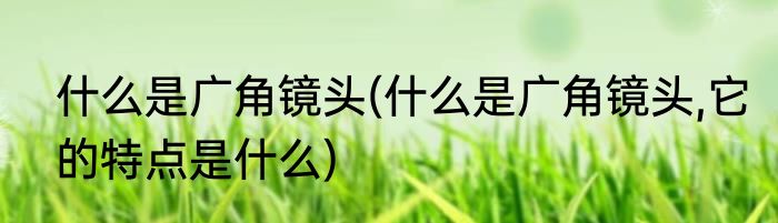 什么是广角镜头(什么是广角镜头,它的特点是什么)