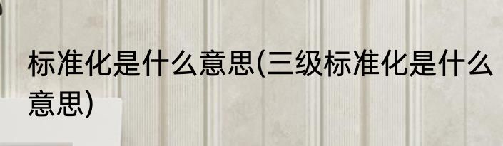 标准化是什么意思(三级标准化是什么意思)