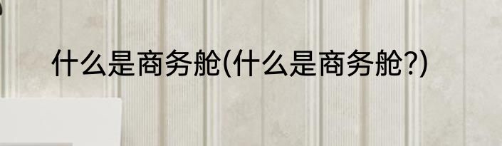 什么是商务舱(什么是商务舱?)