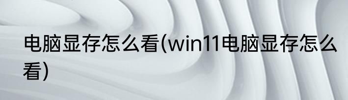 电脑显存怎么看(win11电脑显存怎么看)