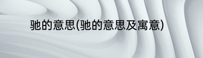 驰的意思(驰的意思及寓意)