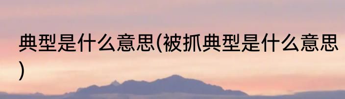 典型是什么意思(被抓典型是什么意思)