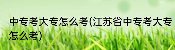 中专考大专怎么考(江苏省中专考大专怎么考)