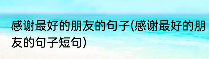 感谢最好的朋友的句子(感谢最好的朋友的句子短句)