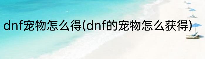 dnf宠物怎么得(dnf的宠物怎么获得)