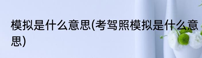 模拟是什么意思(考驾照模拟是什么意思)