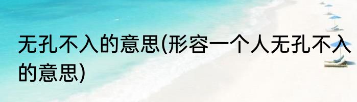 无孔不入的意思(形容一个人无孔不入的意思)