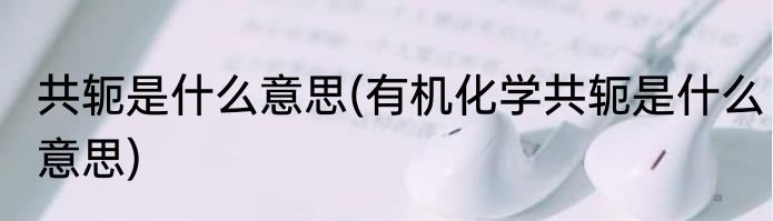 共轭是什么意思(有机化学共轭是什么意思)