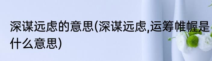 深谋远虑的意思(深谋远虑,运筹帷幄是什么意思)