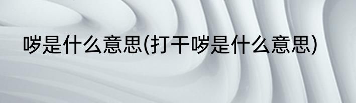 哕是什么意思(打干哕是什么意思)