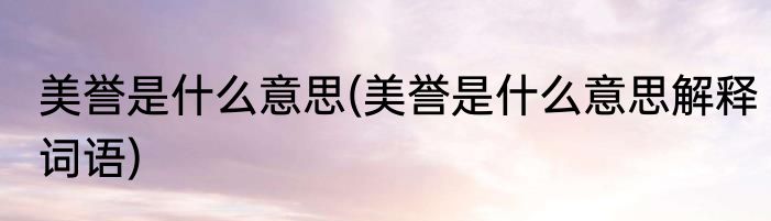 美誉是什么意思(美誉是什么意思解释词语)