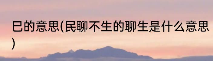 巳的意思(民聊不生的聊生是什么意思)