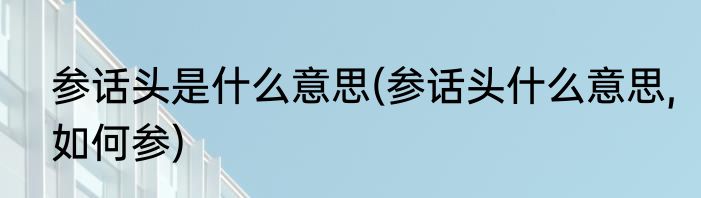 参话头是什么意思(参话头什么意思,如何参)