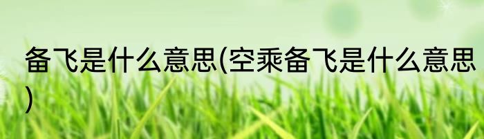 备飞是什么意思(空乘备飞是什么意思)