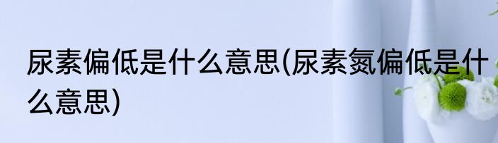 尿素偏低是什么意思(尿素氮偏低是什么意思)