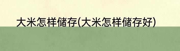 大米怎样储存(大米怎样储存好)