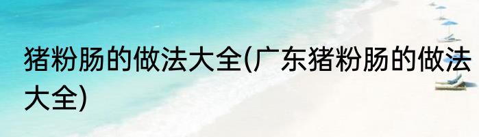 猪粉肠的做法大全(广东猪粉肠的做法大全)