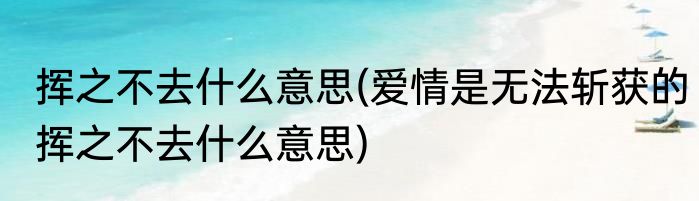挥之不去什么意思(爱情是无法斩获的挥之不去什么意思)