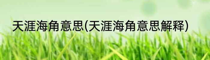 天涯海角意思(天涯海角意思解释)