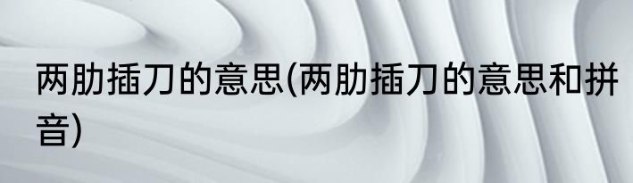 两肋插刀的意思(两肋插刀的意思和拼音)