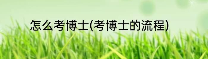 怎么考博士(考博士的流程)