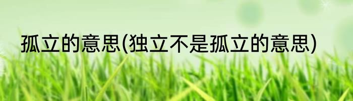孤立的意思(独立不是孤立的意思)