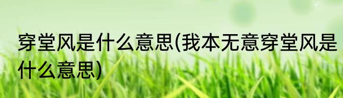 穿堂风是什么意思(我本无意穿堂风是什么意思)