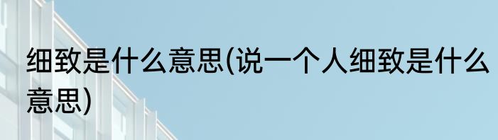 细致是什么意思(说一个人细致是什么意思)