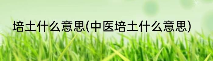 培土什么意思(中医培土什么意思)