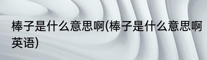 棒子是什么意思啊(棒子是什么意思啊英语)