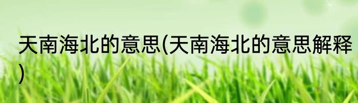 天南海北的意思(天南海北的意思解释)