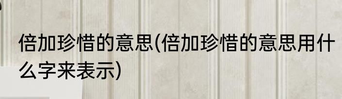 倍加珍惜的意思(倍加珍惜的意思用什么字来表示)