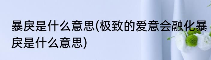 暴戾是什么意思(极致的爱意会融化暴戾是什么意思)