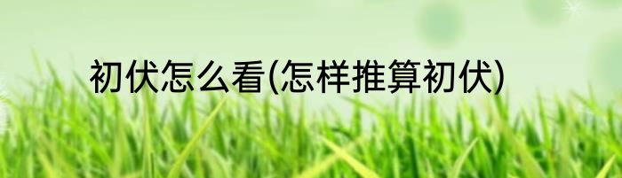初伏怎么看(怎样推算初伏)