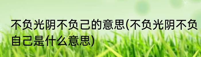 不负光阴不负己的意思(不负光阴不负自己是什么意思)