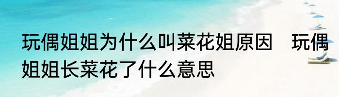 玩偶姐姐为什么叫菜花姐原因   玩偶姐姐长菜花了什么意思