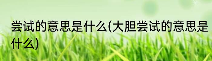 尝试的意思是什么(大胆尝试的意思是什么)