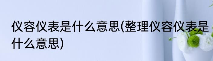 仪容仪表是什么意思(整理仪容仪表是什么意思)
