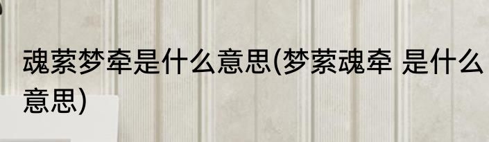 魂萦梦牵是什么意思(梦萦魂牵 是什么意思)