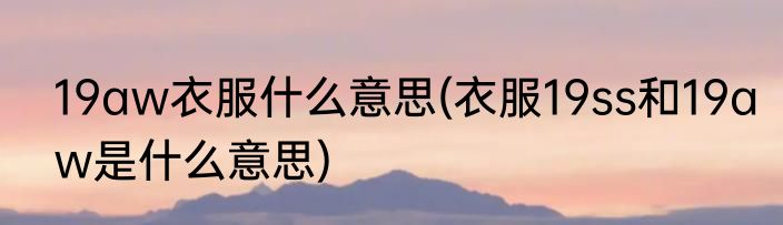 19aw衣服什么意思(衣服19ss和19aw是什么意思)