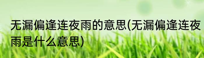 无漏偏逢连夜雨的意思(无漏偏逢连夜雨是什么意思)