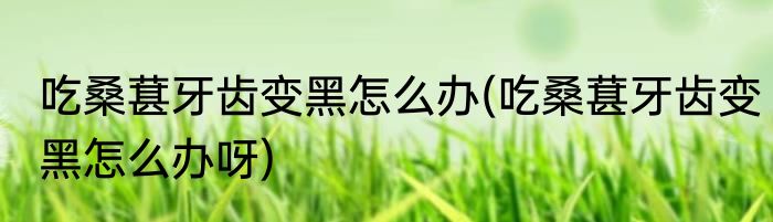 吃桑葚牙齿变黑怎么办(吃桑葚牙齿变黑怎么办呀)