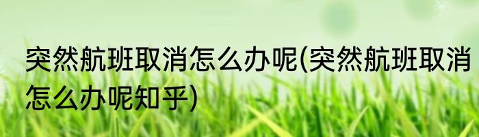 突然航班取消怎么办呢(突然航班取消怎么办呢知乎)