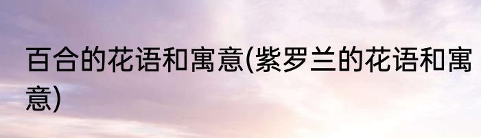 百合的花语和寓意(紫罗兰的花语和寓意)