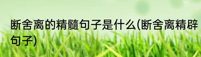 断舍离的精髓句子是什么(断舍离精辟句子)