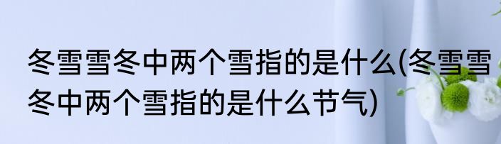 冬雪雪冬中两个雪指的是什么(冬雪雪冬中两个雪指的是什么节气)