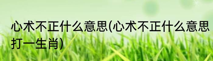 心术不正什么意思(心术不正什么意思打一生肖)
