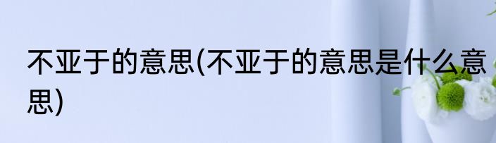 不亚于的意思(不亚于的意思是什么意思)
