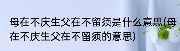母在不庆生父在不留须是什么意思(母在不庆生父在不留须的意思)