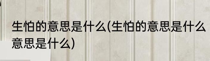 生怕的意思是什么(生怕的意思是什么意思是什么)